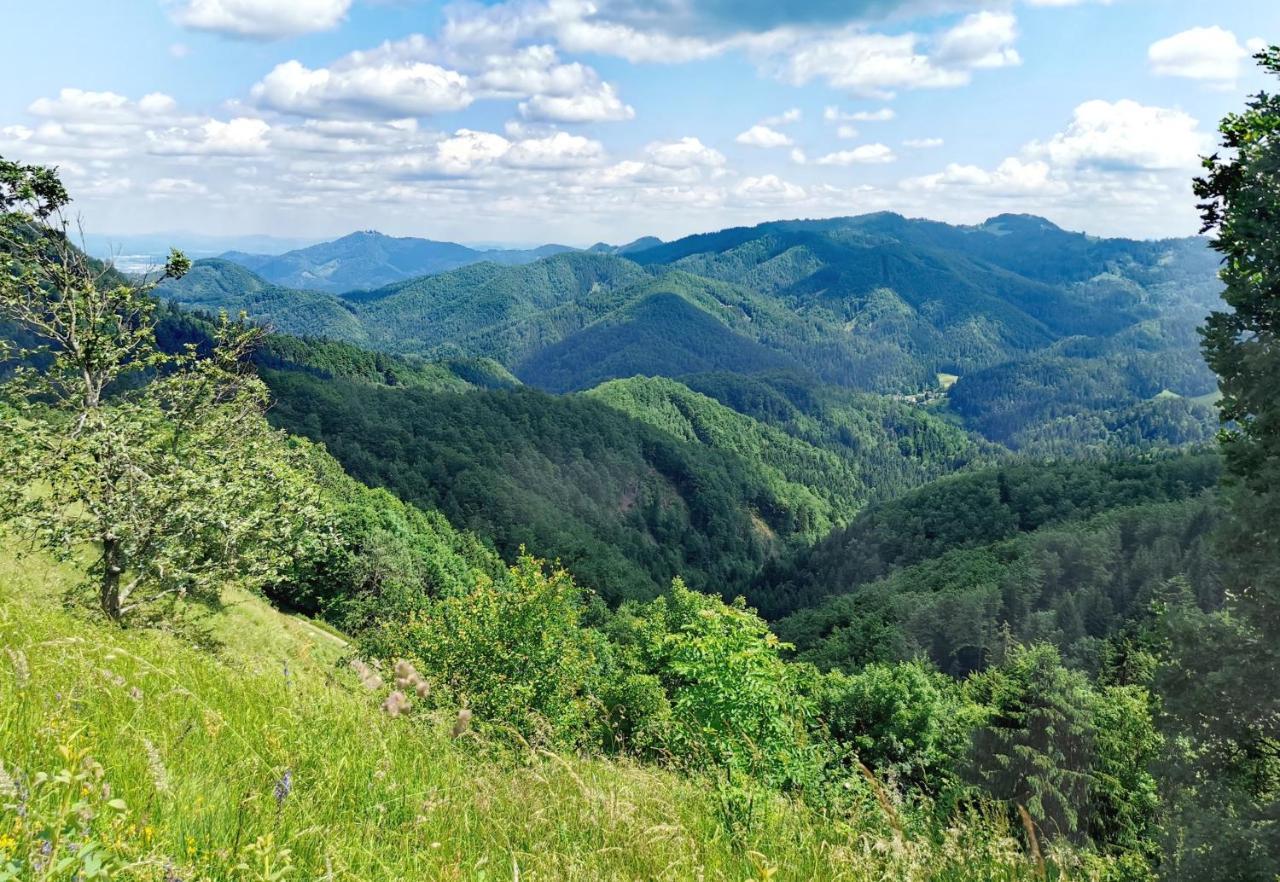 Bajta Kroparica Exteriör bild